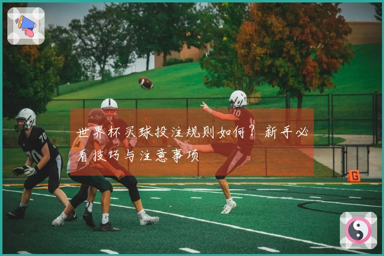 世界杯买球投注规则如何？新手必看技巧与注意事项