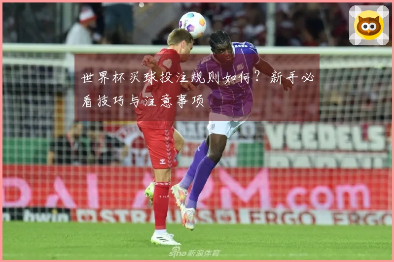 世界杯买球投注规则如何？新手必看技巧与注意事项