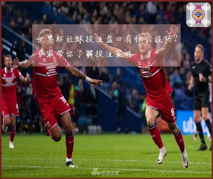 世界杯让球投注盘口有什么技巧？专家带你了解投注策略