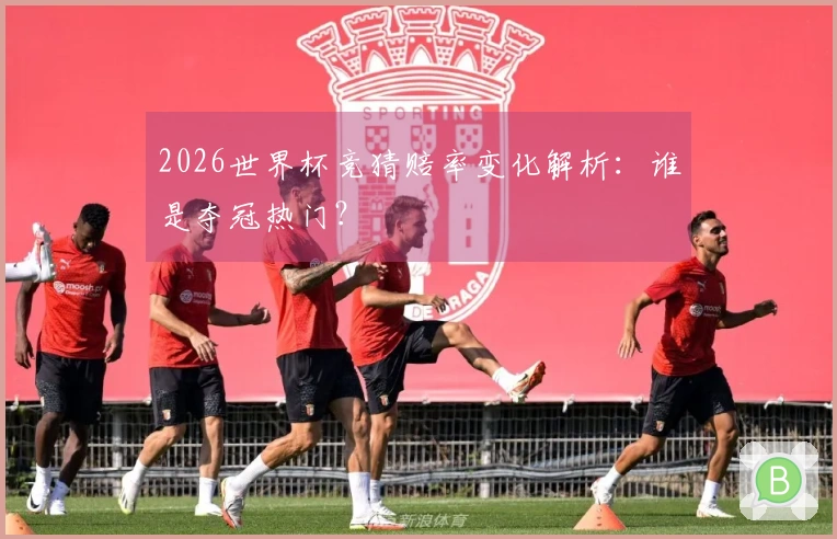 2026世界杯竞猜赔率变化解析：谁是夺冠热门？