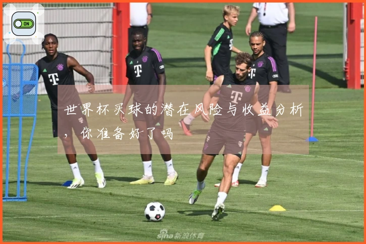 世界杯买球的潜在风险与收益分析，你准备好了吗