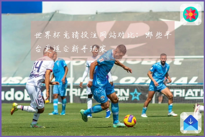 世界杯竞猜投注网站对比：哪些平台更适合新手玩家