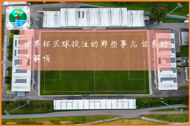 世界杯买球投注的那些事儿 你真的了解吗