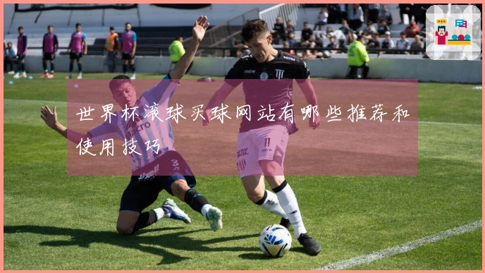 世界杯滚球买球网站有哪些推荐和使用技巧