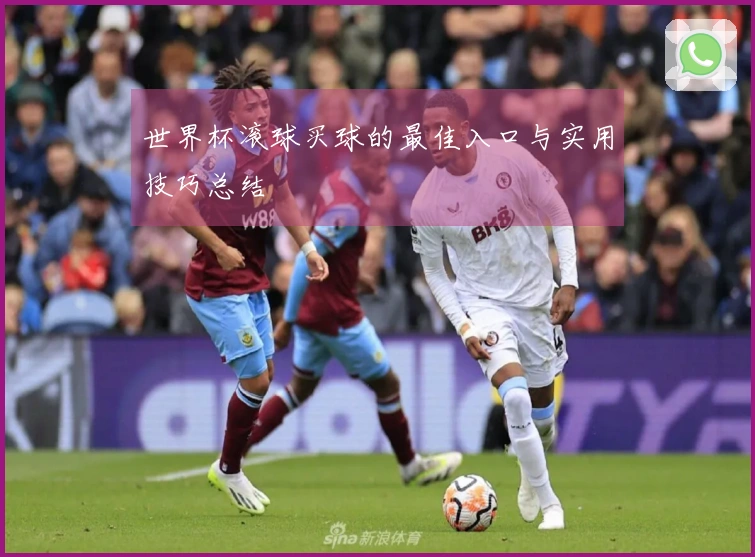 世界杯滚球买球的最佳入口与实用技巧总结
