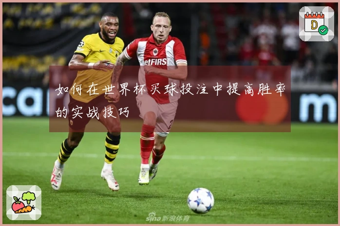 如何在世界杯买球投注中提高胜率的实战技巧