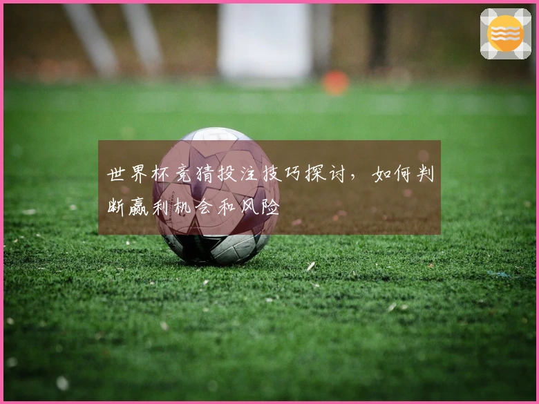 世界杯竞猜投注技巧探讨，如何判断赢利机会和风险