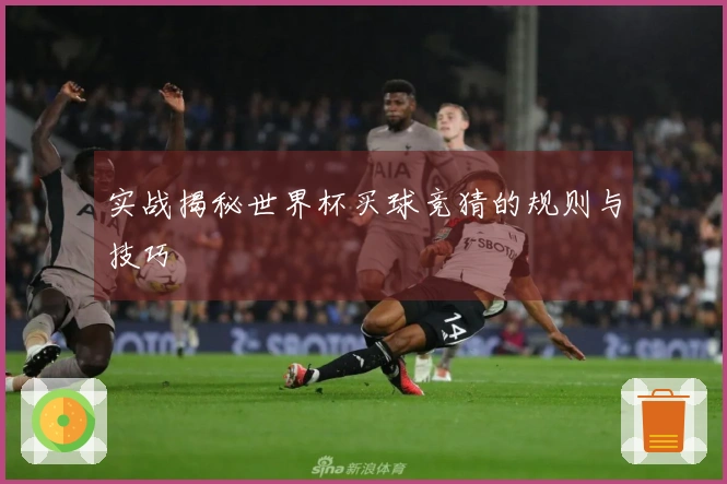 实战揭秘世界杯买球竞猜的规则与技巧