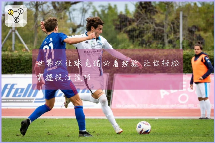 世界杯让球竞猜必看经验 让你轻松掌握投注技巧