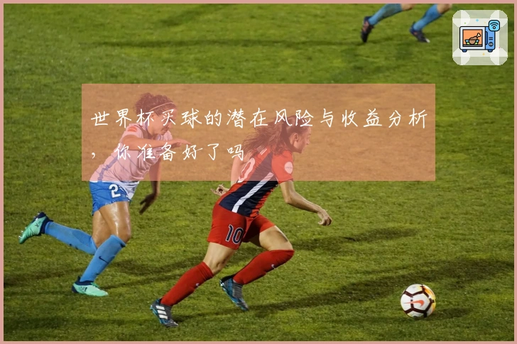 世界杯买球的潜在风险与收益分析，你准备好了吗