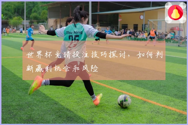 世界杯竞猜投注技巧探讨，如何判断赢利机会和风险
