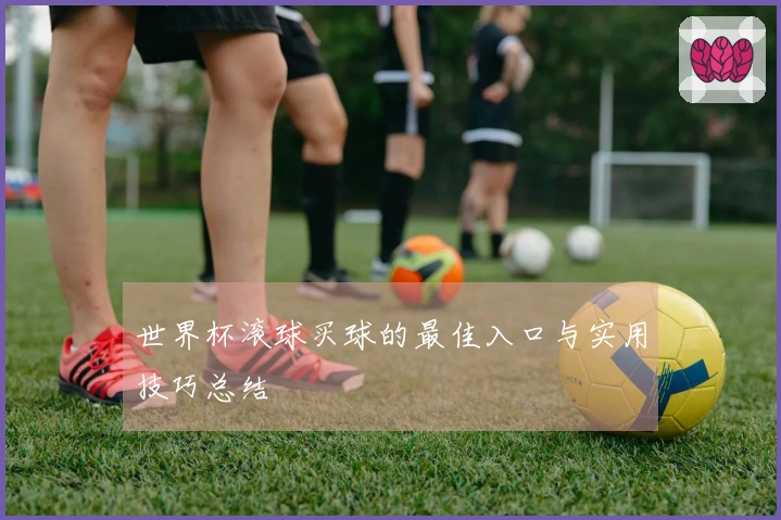 世界杯滚球买球的最佳入口与实用技巧总结