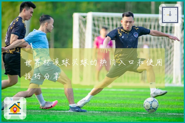 世界杯滚球买球的热门入口和使用技巧分享