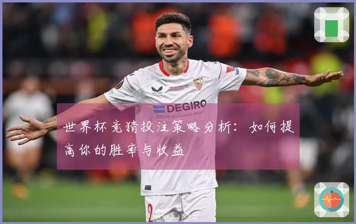 世界杯竞猜投注策略分析：如何提高你的胜率与收益